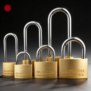 梅花BLOSSOM挂锁腰圆铜芯挂锁铁锁柜门小锁防盗窗锁头全铜梅花锁