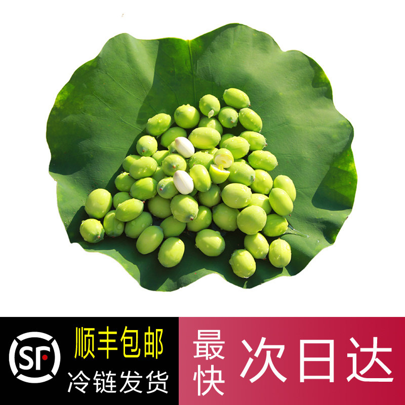 加冰顺丰空运现剥嫩莲子 洪湖新鲜嫩莲蓬带绿壳湖北生吃水果莲子