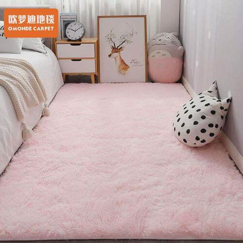 Nordic  bedroom small carpet white plush bedside rug living