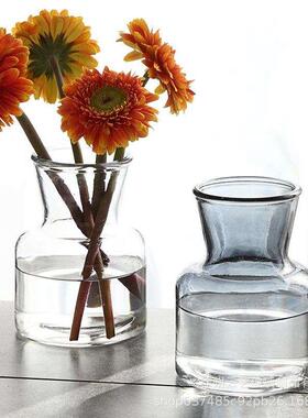 Glass Vase Europeanstyle Simple Hydroponic Plant Green Rose