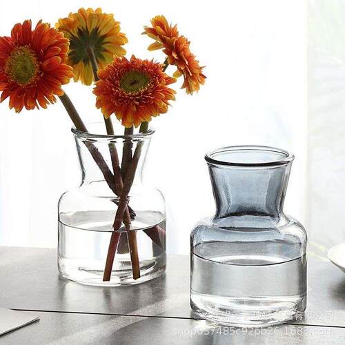 Glass Vase Europeanstyle Simple Hydroponic Plant Green Rose