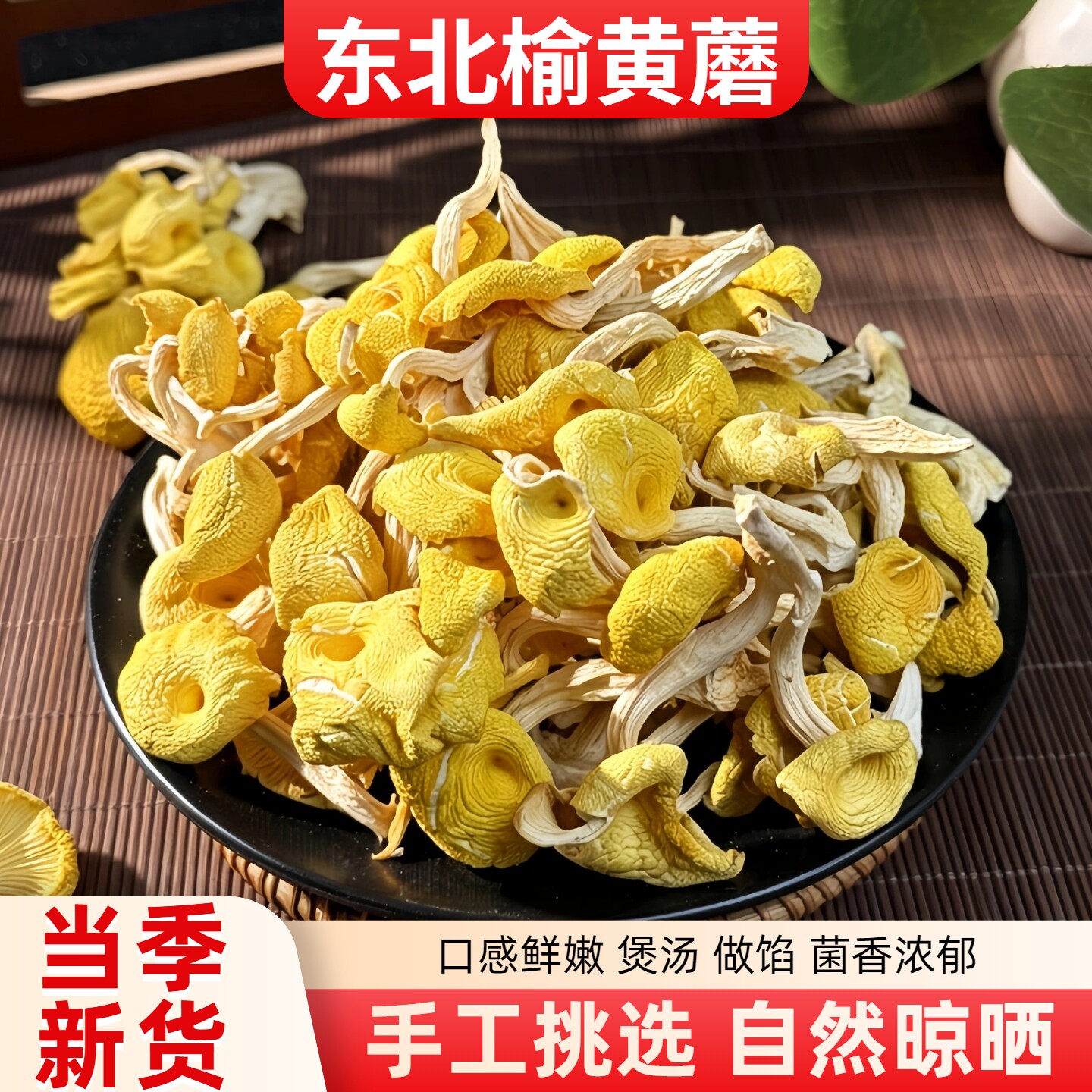 东北榆黄蘑菇干货新货黄金菇野生鸡油菌榆黄蘑煲菌汤食用菌土特产