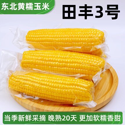 田丰3号东北黄糯玉米新鲜大棒粘黏苞米粗粮早餐健身主食真空包装