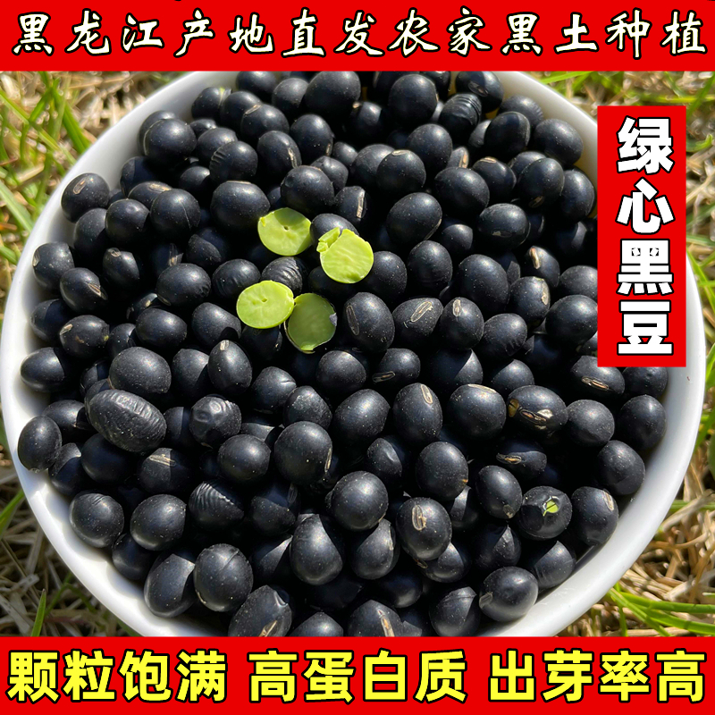 东北绿心芯黑豆打豆浆生豆芽豆子