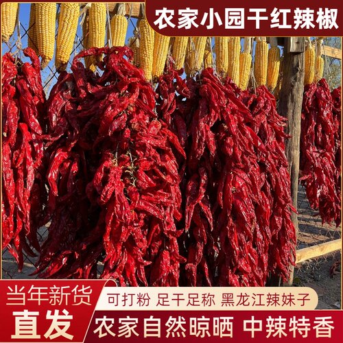 东北干红辣椒自然晾晒可打辣椒粉