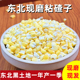 东北粘黏大碴子现磨糯玉米粒糁煮粗粮笨碴子粥粘苞米茬碴杂粮特产