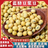 2025新大豆非转基因黄豆打豆浆专用蓝脐豆浆豆农家自种高蛋白豆子