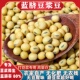 2025新大豆非转基因黄豆打豆浆专用蓝脐豆浆豆农家自种高蛋白豆子