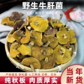 东北松蘑菇野生松蘑干货粘团子牛肝菌松树蘑菇松蛾子山货山珍特产