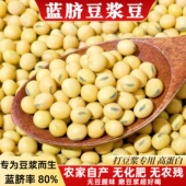 2025新大豆非转基因黄豆打豆浆专用蓝脐豆浆豆农家自种高蛋白豆子