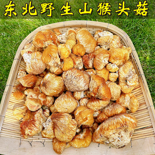 东北纯野生猴头菇干货养胃可打粉