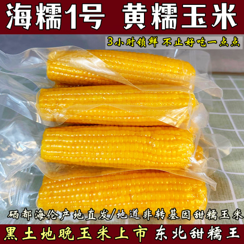 东北鲜食黄糯甜玉米粘苞米棒新鲜