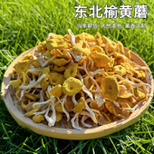 东北榆黄蘑菇干货新货黄金菇野生鸡油菌榆黄蘑煲菌汤食用菌土特产