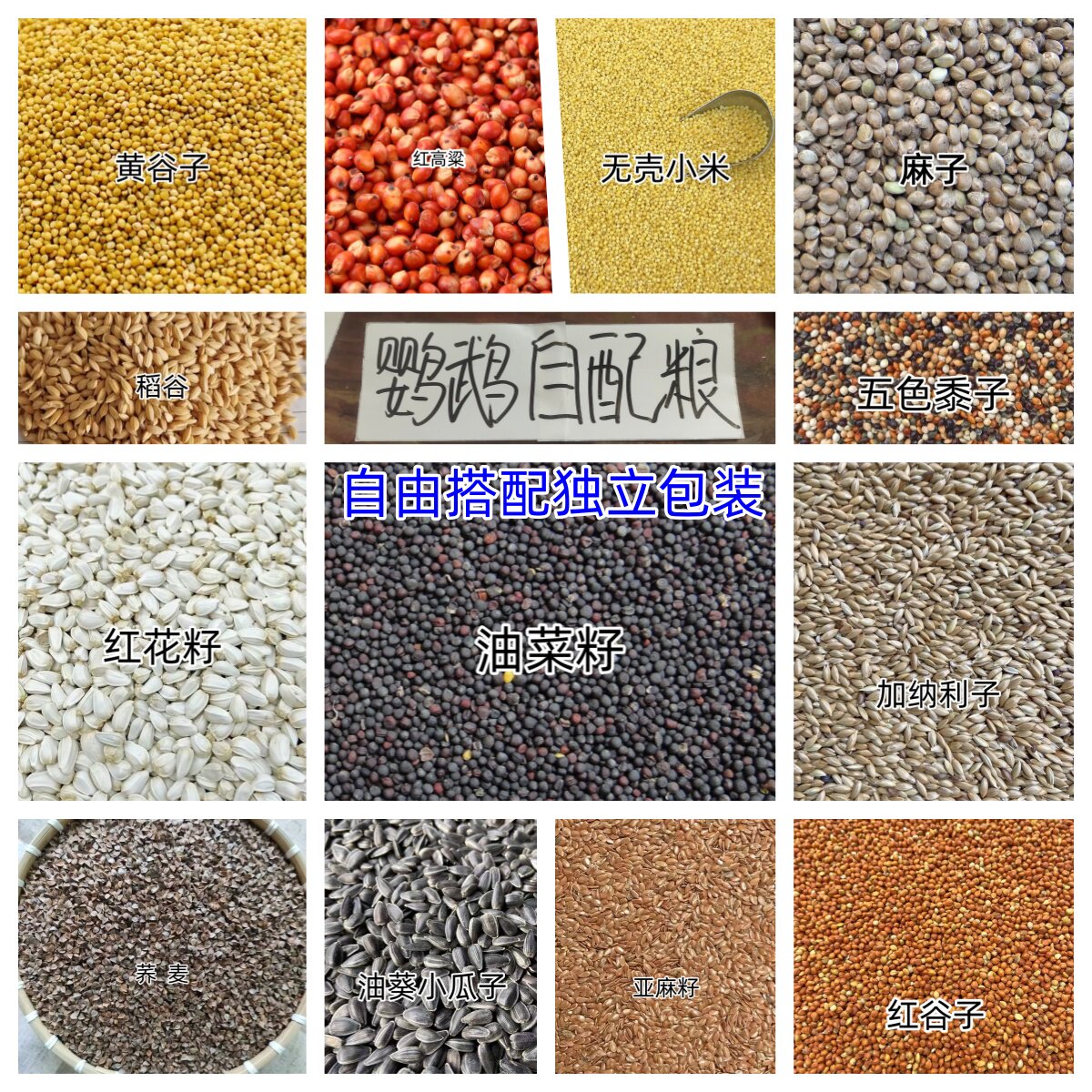 鹦鹉自配鸟粮多品种适用图片