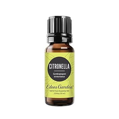 Edens Garden Citronella Essential Oil， 100% Pure Therapeu