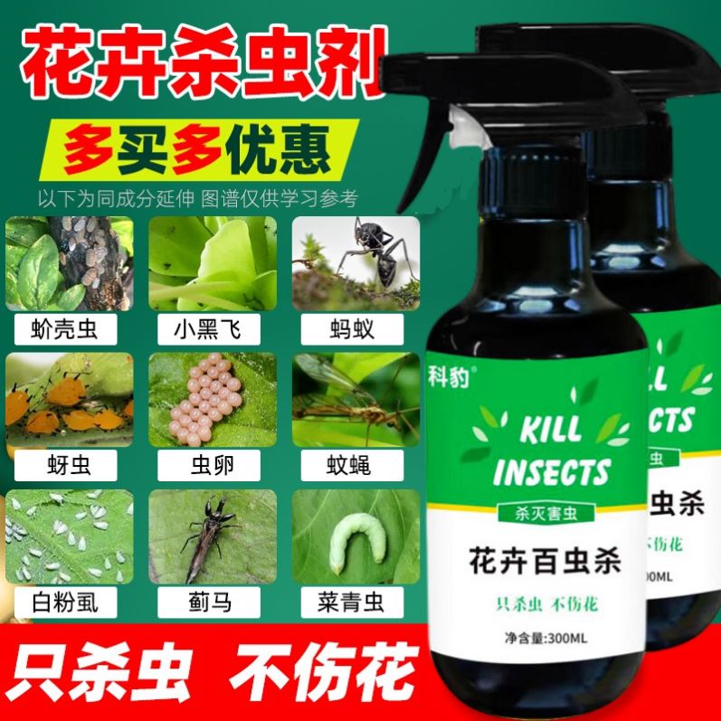 杀虫剂花卉植物通用月季杀虫药蚜虫专用蚧壳虫多肉家用花草除虫剂