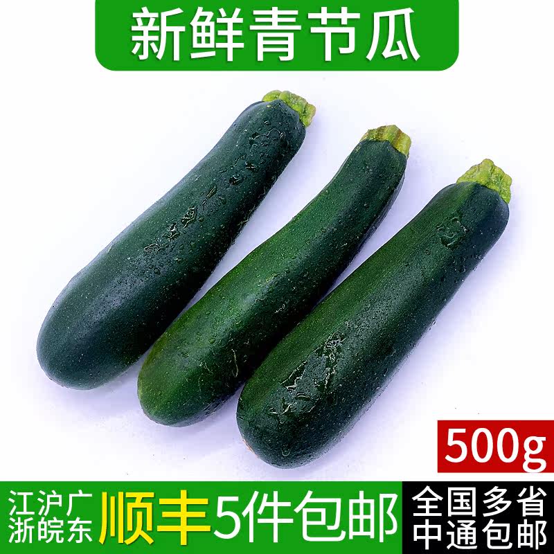 青节瓜500g 青西葫芦绿色青茄瓜青节瓜 新鲜蔬菜