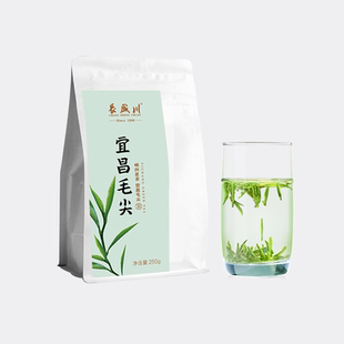 2026年毛尖新茶 五峰明前一级毛尖250g 浓香型云雾绿茶叶宜昌毛尖