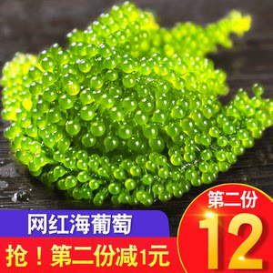 海葡萄能直接吃吗 海葡萄是什么食物