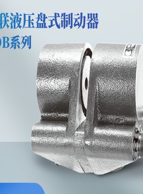 日本原装进口YUSHIN友信双联液压盘式制动器RDB-10 RDB-20/50