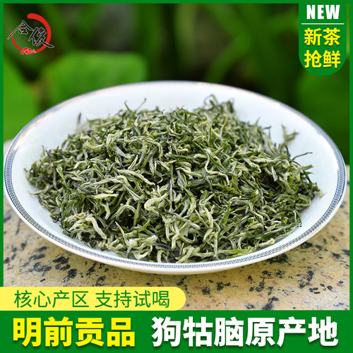 江西狗牯脑茶绿茶新茶明前贡品