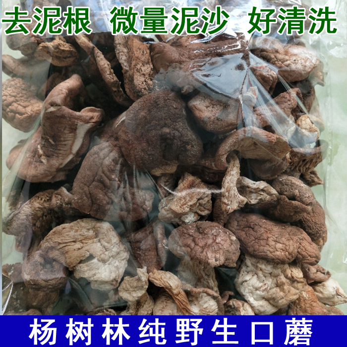 张家口口蘑坝上口蘑纯野生口蘑人工去泥根精选杨树林野生蘑菇-封面