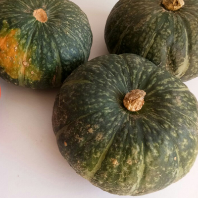 熬瓜甘甜细绵瓜面瓜瓜倭瓜南瓜