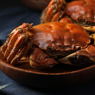 【正常发货 时效慢】芦苇荡大闸蟹全母蟹组合 6小时内反馈售后