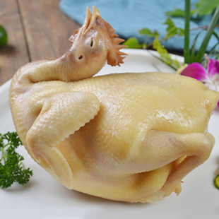 160天散养海南文昌白切鸡800 1000g 只 先看页面售后要求