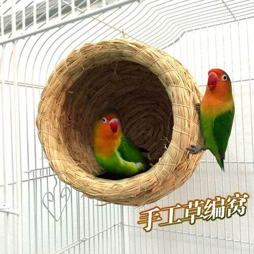 草编鸟窝珍珠玄凤虎皮牡