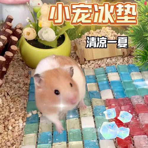 仓鼠凉席兔子陶瓷散热降温金丝冰垫夏季宠物消暑避暑夏天冰床用品