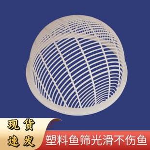 塑料鱼筛鱼苗大小分拣专用筛子黄骨鱼鲫鱼小龙虾分级分离样品筛