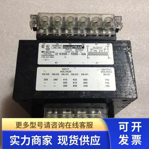 GlobalTRAN E20-1006-GA 变压器240V(380V)转110V 250W 250VA