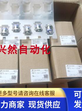 天逸自复位金属按钮指示灯TMB19-TD11-J024G 绿色 实拍 现货 全新