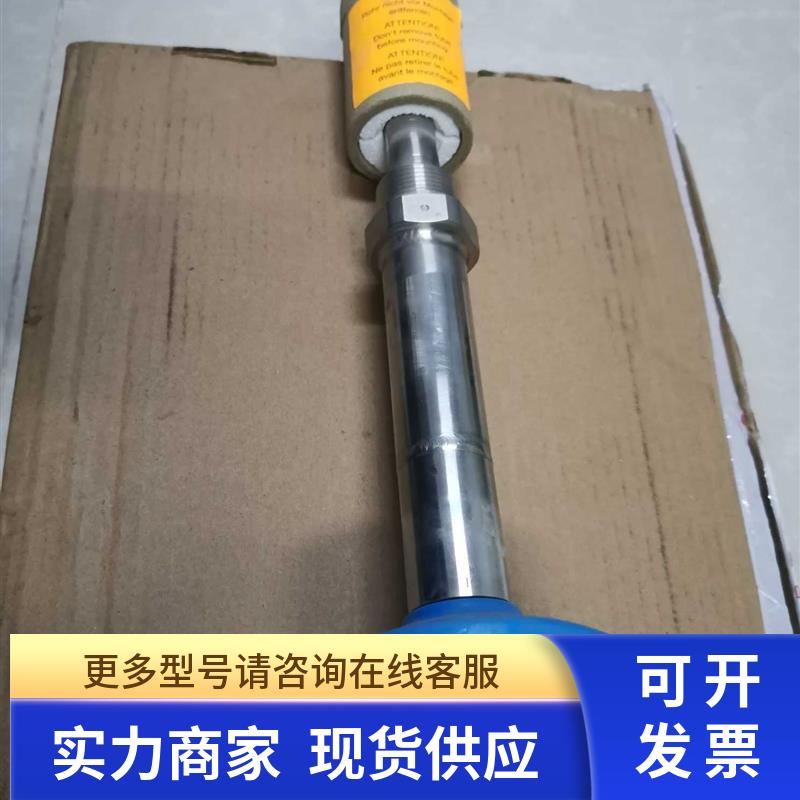 液位传感器 FTL31-AA4U3 BAWSJ+HD ENDRESS & HAUSER 期货 8-10周