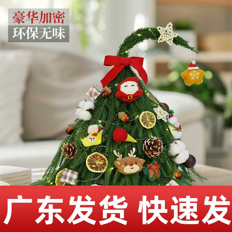 广州创意圣诞树新款家用小型诺贝松圣诞节迷你桌面圣诞装饰品摆件