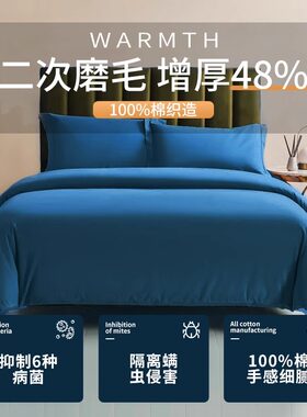 200支A类磨毛抗菌全棉四件套100加厚纯棉床上用纯色床单被套床笠