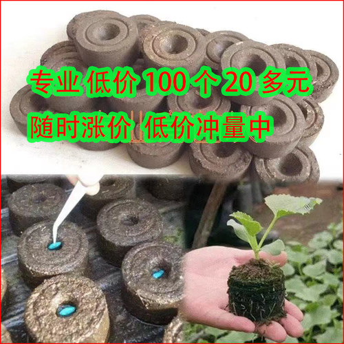育苗盘非进口压缩泥土播育苗盒