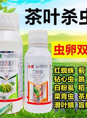 茶树茶叶专用农药店杀虫剂丁醚脲氯氰氟菊酯高效茶小绿叶蝉白飞虱