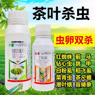 茶树茶叶专用农药店杀虫剂丁醚脲氯氰氟菊酯高效茶小绿叶蝉白飞虱