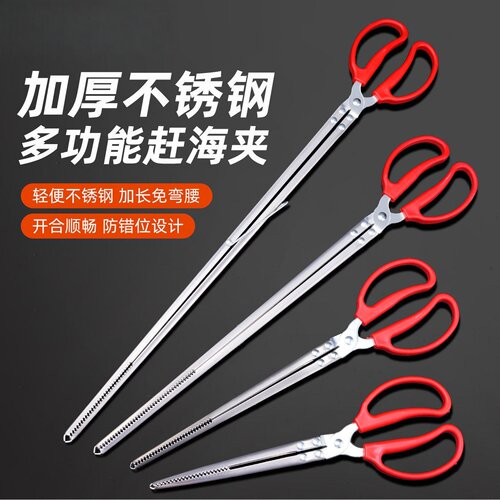 专业赶海加厚不锈钢黄鳝夹
