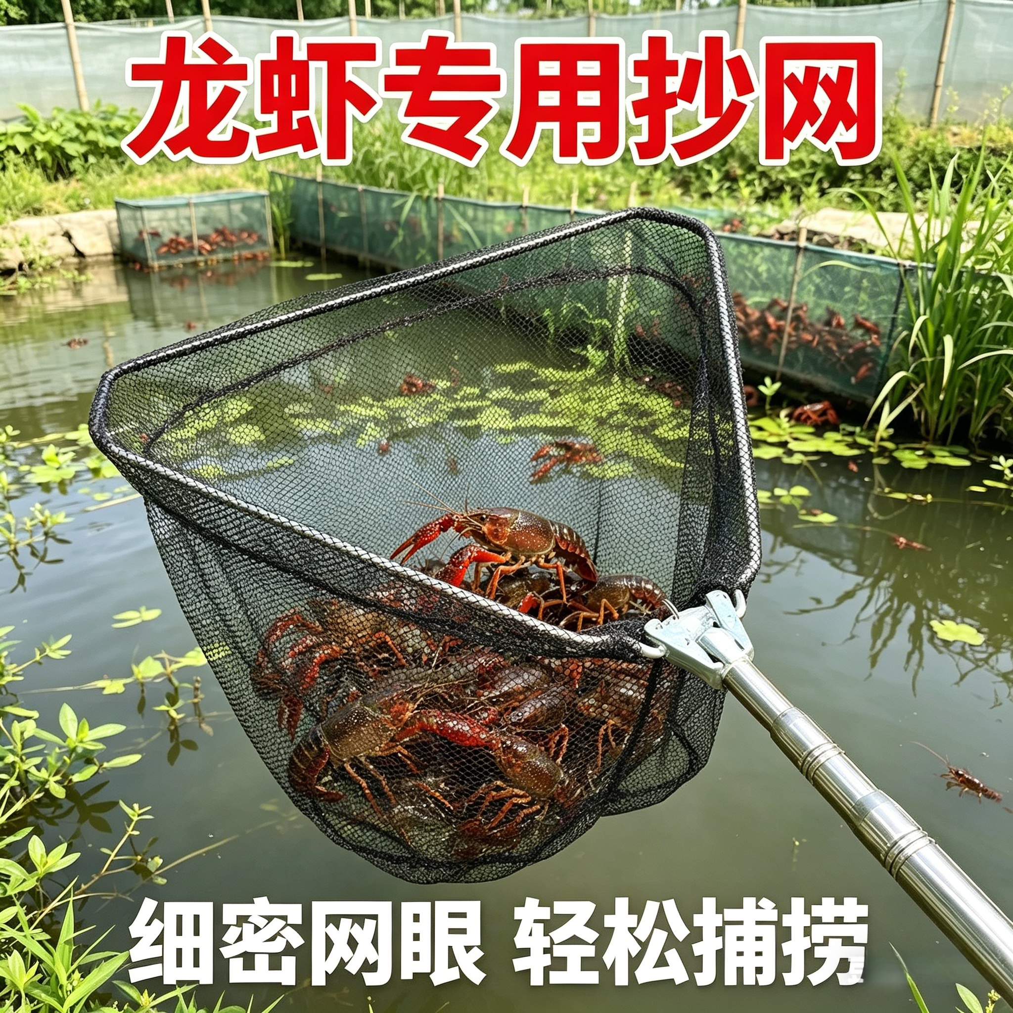 龙虾抄网加粗抄网网兜鱼网套装不锈钢伸缩杆捞渔网可折叠钓鱼黑坑