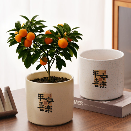 中式陶瓷花盆室内绿植盆栽
