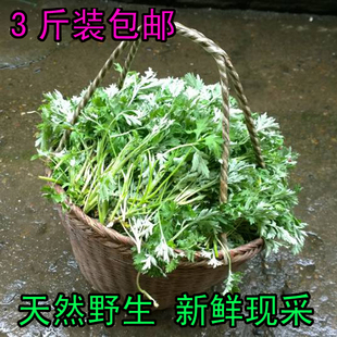 野艾草新鲜艾叶青团材料需要艾泥也可以代打