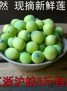2026年新鲜莲子嫩莲子米生吃水果莲子不带新鲜莲蓬头蔬菜浙江发货