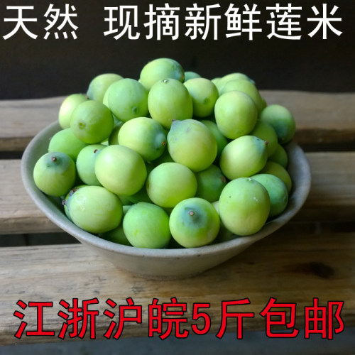 2026年新鲜莲子嫩莲子米生吃水果莲子不带新鲜莲蓬头蔬菜浙江发货