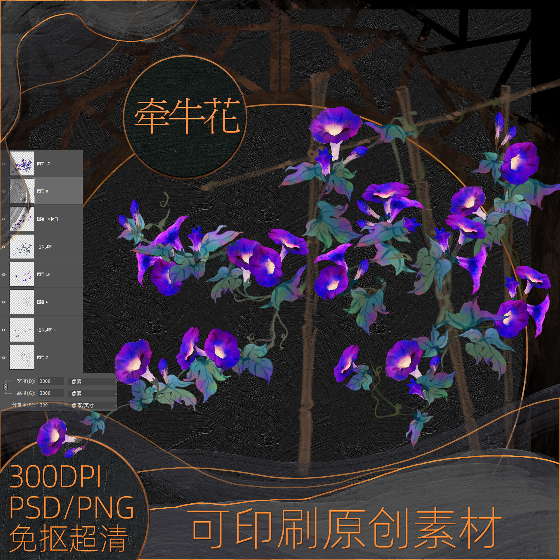 牵牛花原创psd/png免扣300分辨率超高清美工插画设计素材可商用