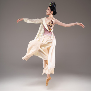 新款桃李杯古典舞演出服寒依疏影剧目服舞蹈演出服独舞艺考定制