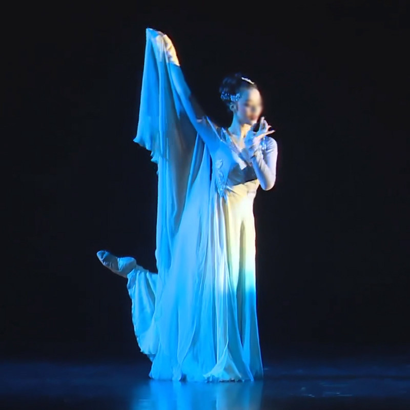 燕子舞新款古典服皓月僚影同款独舞飘逸裙摆练功艺考演出服定制