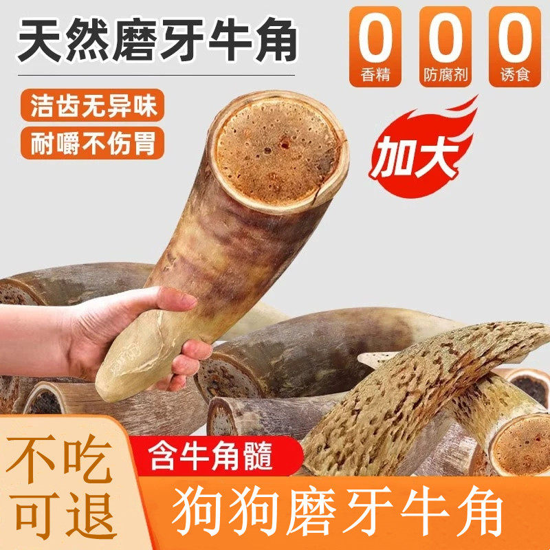 风干牛角磨牙棒洁齿耐咬狗狗玩具金毛柯基小中大型犬含牛角髓营养
